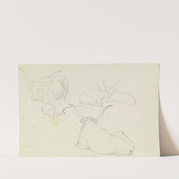 Resting cattle by August Lucas