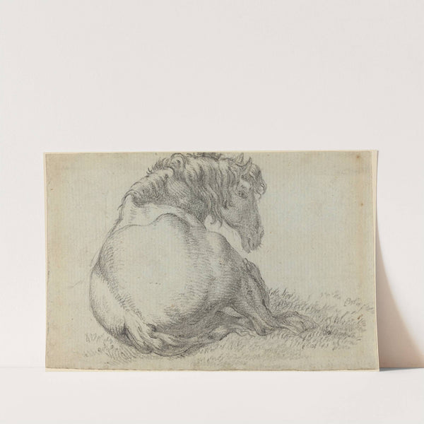 Resting Horse by Paulus Potter