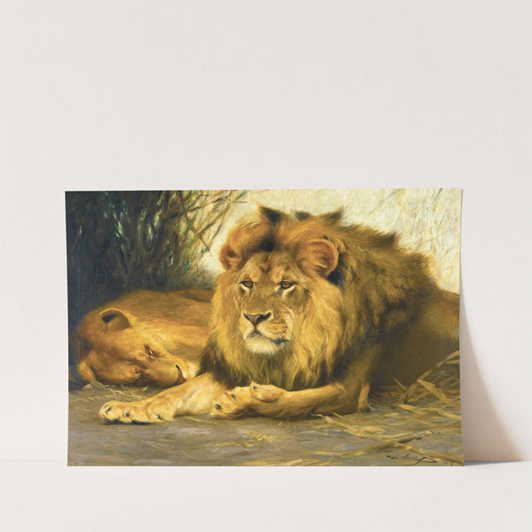 Resting Lions (1913) by Wilhelm Kuhnert
