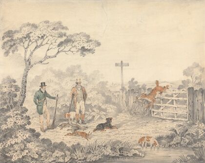 Retrieving a Rabbit