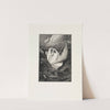 Rettung (Ein Handschuh, Opus VI, Blatt 4) (1893-1898) by Max Klinger