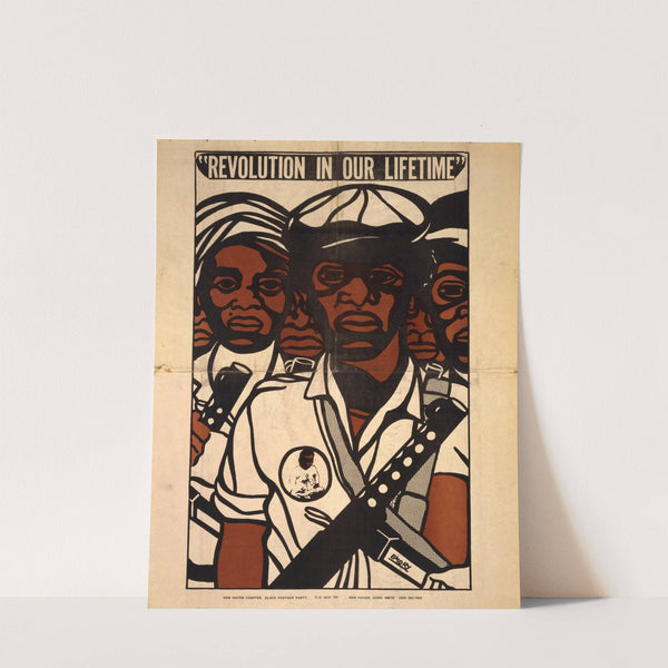 Revolution in our lifetime by Anonymous