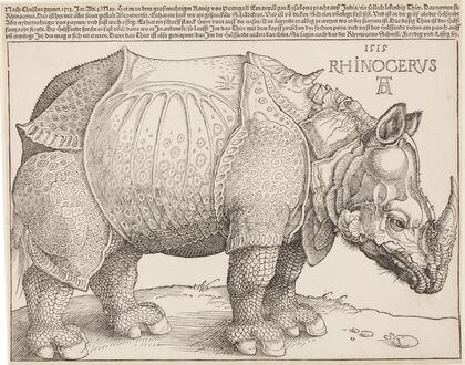 Rhinocerus (Das Rhinozeros)