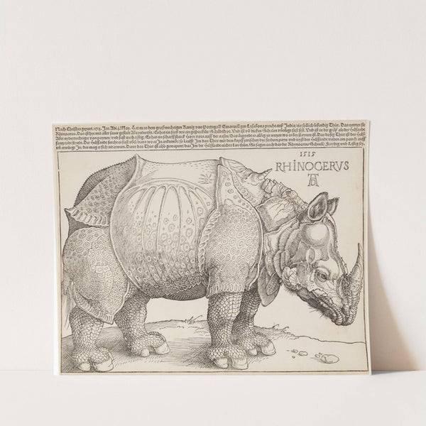 Rhinocerus (Das Rhinozeros) (1515) by Albrecht Dürer