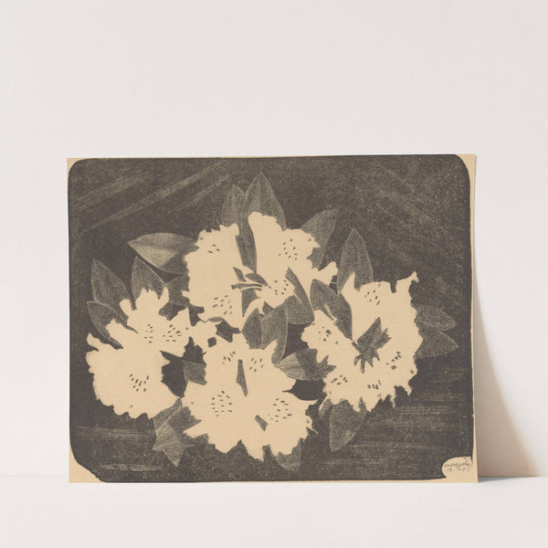 Rhododendron by Samuel Jessurun de Mesquita