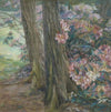 Rhododendronbusch in einem Garten