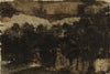 Rideau d’arbres au bord de l’eau