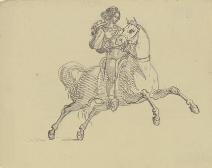 Rider on his horse
