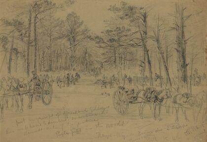 Rifle pits in the woods.