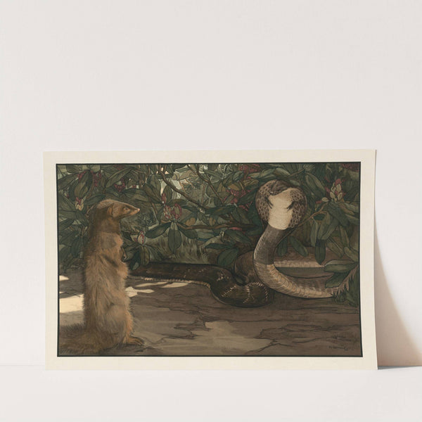 Rikki-tikki (1903) by Charles Maurice Detmold