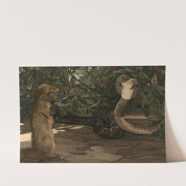 Rikki-Tikki by Charles Maurice Detmold