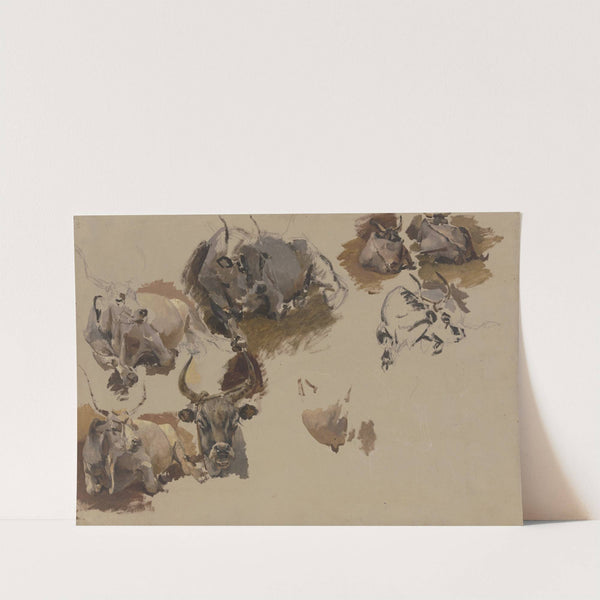 Rinder auf dem Campo Vaccino in Rom by Johann Nepomuk Rauch