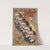 Ringling Bros’ Alf. T., Al., John, Otto, Chas. (1898) by Courier Litho. Co.