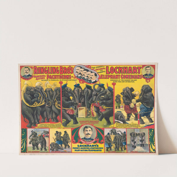 Ringling Bro’s marvelous acting Pachyderms … Lockhart elephant comedians … (1899) by Courier Litho. Co.