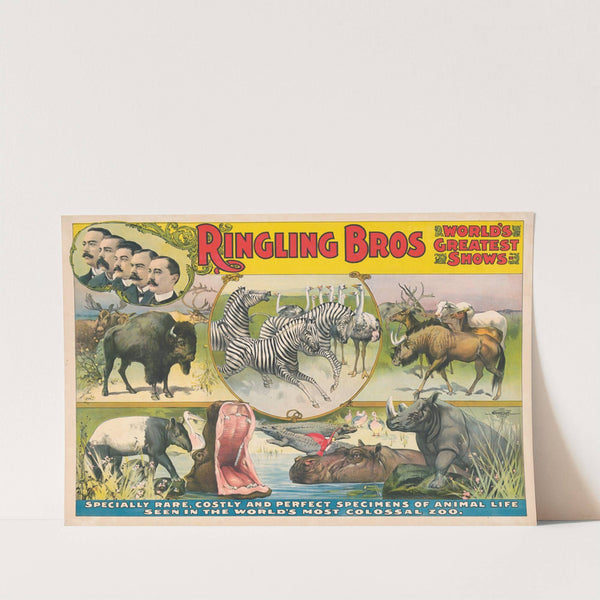 Ringling Bros. world’s greatest shows – Specially rare, costly and perfect specimens of animal life … in … Colossal zoo (1899) by Courier Litho. Co.