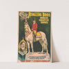 Ringling Bros. world’s greatest shows. The perfect horse ‘Silver King’ … ridden by Mr. John O’Brien … (1900) by Courier Litho. Co.