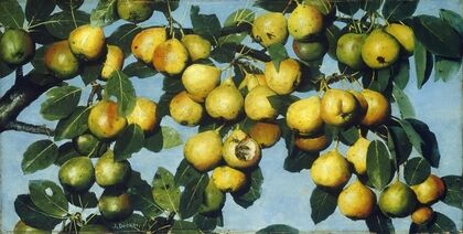 Ripening Pears — size preview