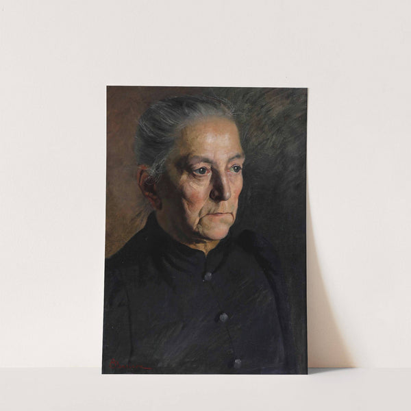 Ritratto di signora by Giuseppe Barison