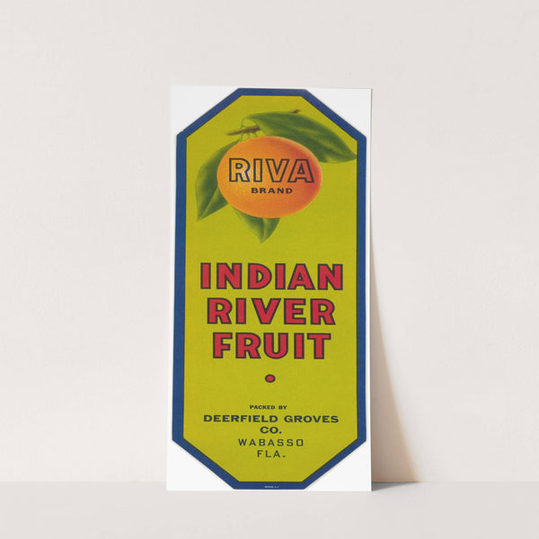 Riva Brand Citrus Label (1930-1950)