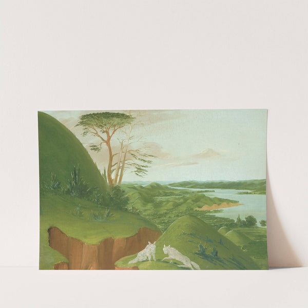 River Bluffs With White Wolves In The Foreground, Upper Missouri by George Catlin