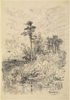 River Landscape