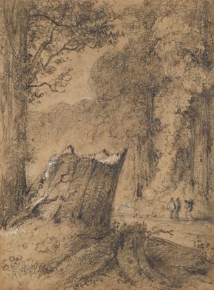 Road through the Hutt Forest, N.Z — size preview