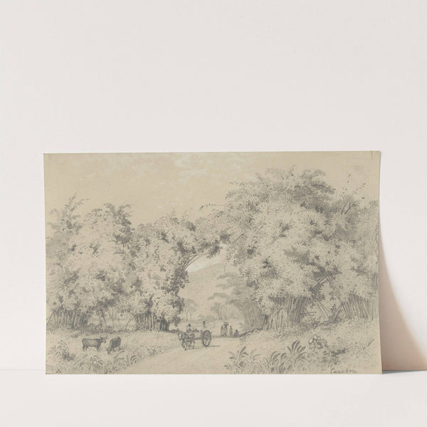 Road to St. Ann's by Michel Jean Cazabon