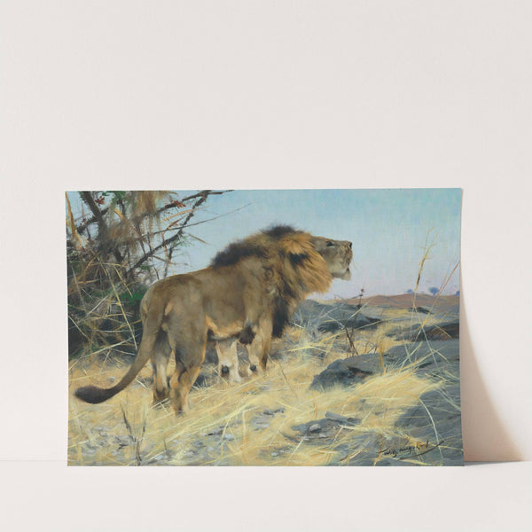 Roaring Lion by Wilhelm Kuhnert