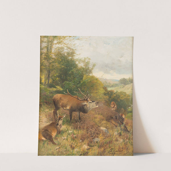 Roaring stag by Christian Kröner