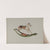 Rocking Horse by Willard Hazen