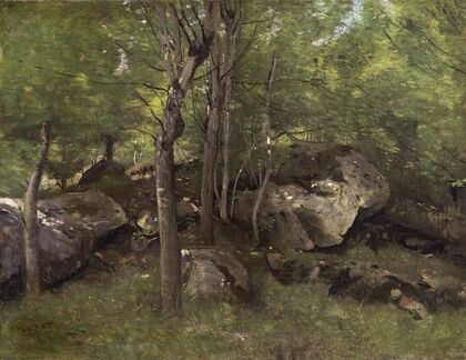 Rocks in the Forest of Fontainebleau