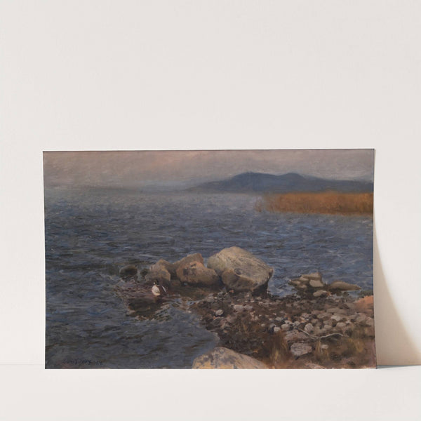 Rocky Promontory (1902) by Bruno Liljefors