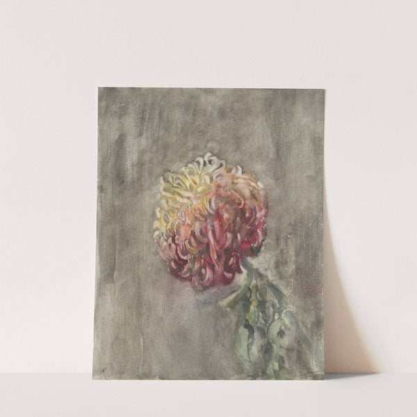 Rode chrysant (1874) by Carel Adolph Lion Cachet