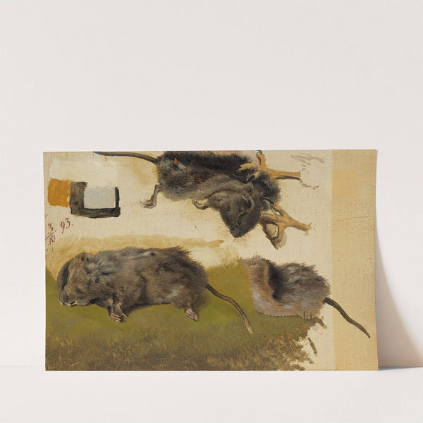 Rodents (1893) by Ferdinand von Wright