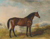‘Rodolph’, a bay hunter, in an extensive landscape