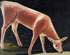 Roe deer drinking from a stream