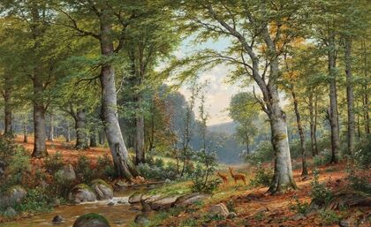 Roe Deer in an Idyllic Wooded Landscape