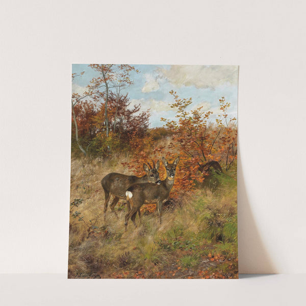 Roe Deer with Autumn Leaves by Josef Schmitzberger