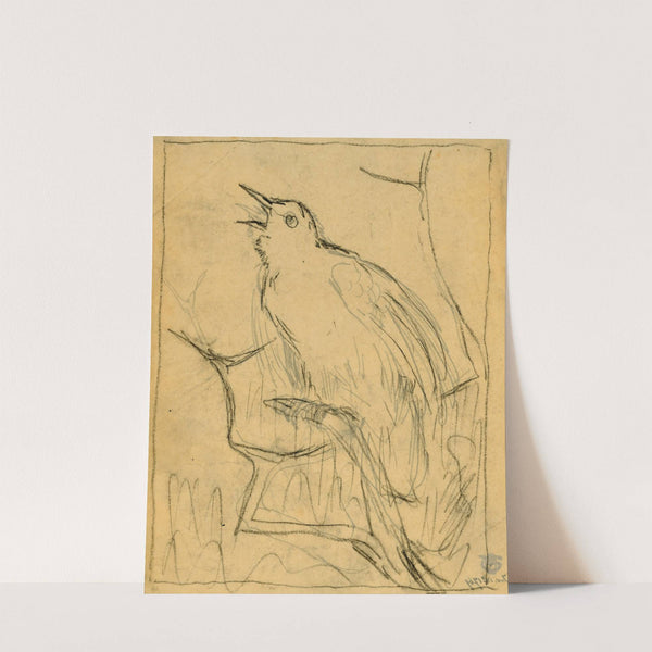 Roepende spreeuw by Theo van Hoytema