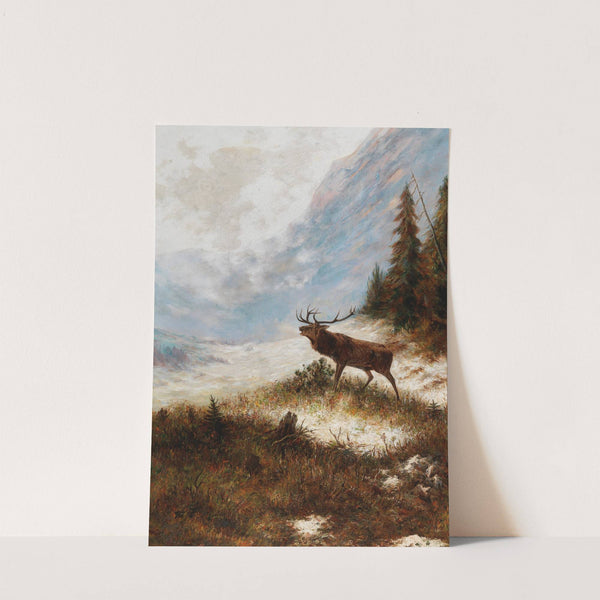 Röhrender Hirsch in Winterlandschaft by Franz Xaver von Pausinger