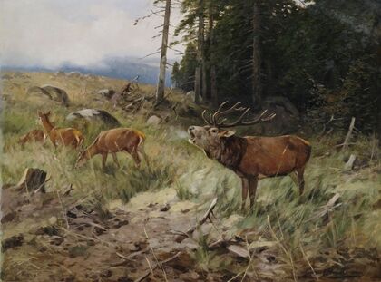 Röhrender Hirsch und Rehe am Waldrand