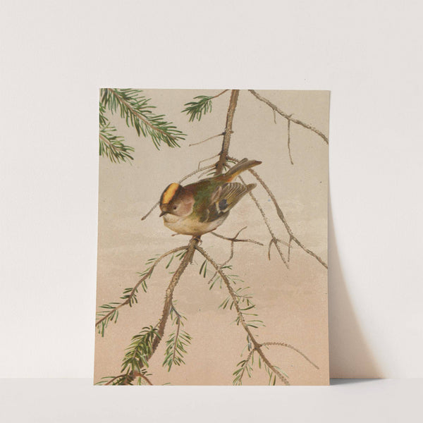 Roitelet (1880) by Léo-Paul Robert