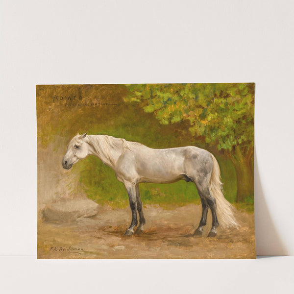 Romeo, a Stallion in a Landscape by Frederick Arthur Bridgman