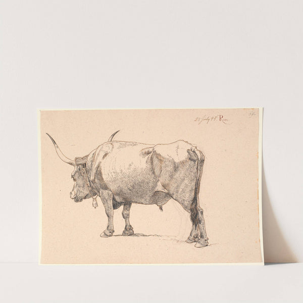 Romersk tyr med klokke om halsen, set skråt bagfra by Johan Thomas Lundbye