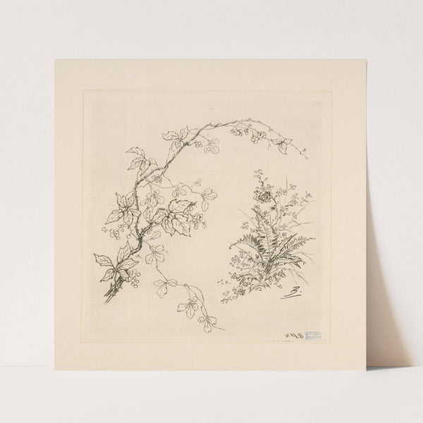 Ronce. (1866 - 1878) by Félix Bracquemond