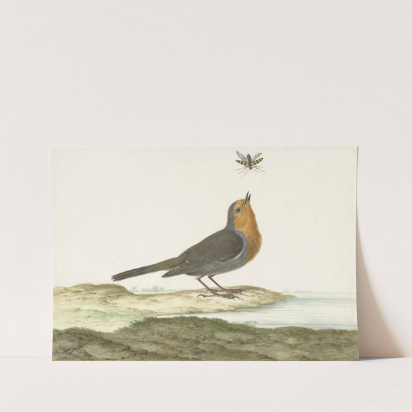 Roodborstje by Johannes van Bronckhorst