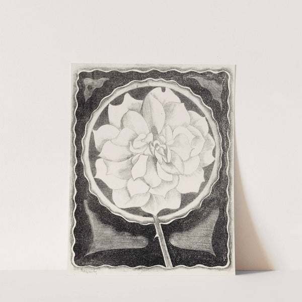 Roos by Samuel Jessurun de Mesquita