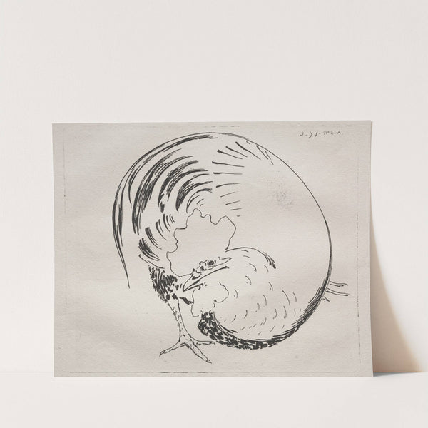 Rooster (c. 1860) by Félix Bracquemond