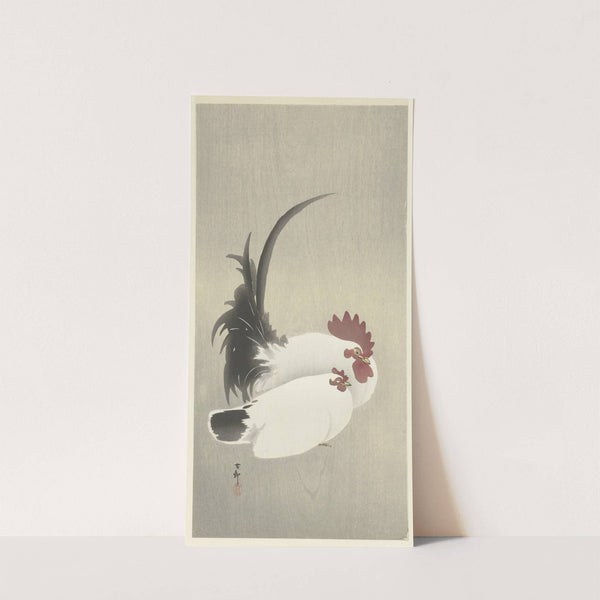 Rooster and hen (1900 - 1930) by Ohara Koson
