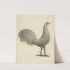 Rooster Weather Vane by Robert Pohle